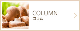 コラム
